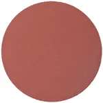 SANDING DISC PSA 125MM 120 GRIT NO HOLE 10/PK