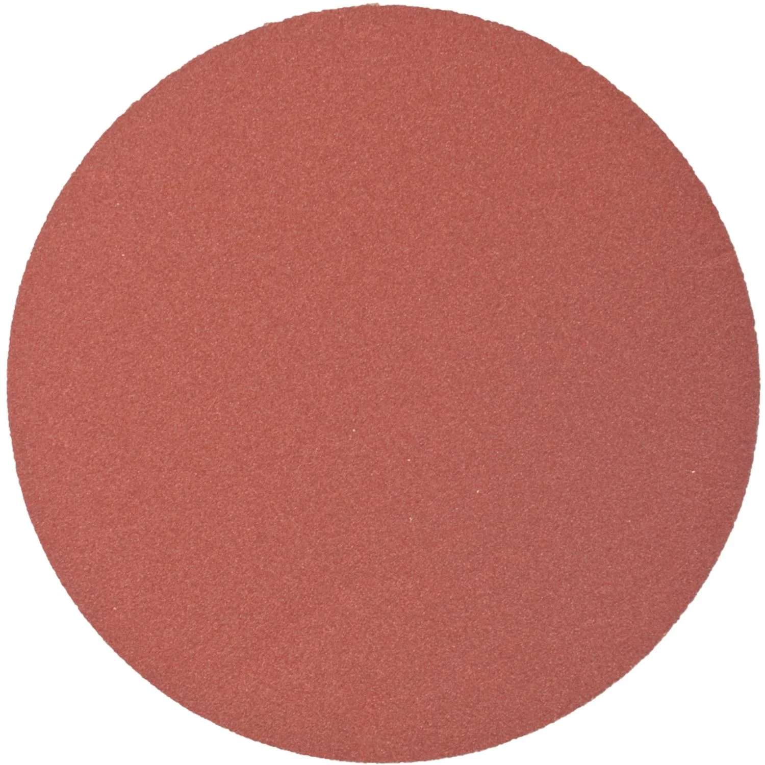 ABR39180.webp SANDING DISC PSA 125MM 180 GRIT NO HOLE 10/PK - Image 1
