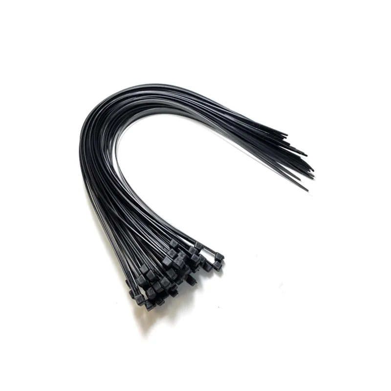 E10044.webp CABLE TIES BLACK 300MM*4.6MM PACK 100 T50I - Image 1