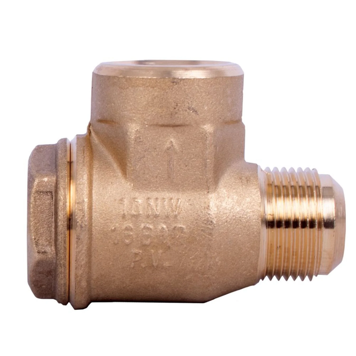 GAV00123.webp NON-RETURN VALVE 1″F - 1″M - Image 1