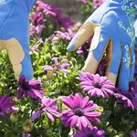 LADIES SLIM FIT X-SMALL GARDEN GLOVES BLUE - Image 2