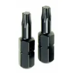 TORX TX25 INSERT BITS 2 PCE