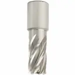 ANNULAR HOLE CUTTER HSS 17 X 30MM WELD SHANK 19.05MM