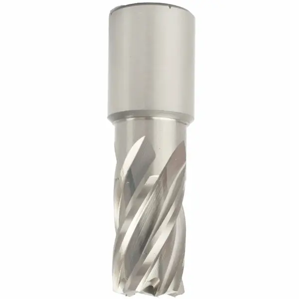ANNULAR HOLE CUTTER HSS 17 X 30MM WELD SHANK 19.05MM