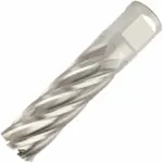 ANNULAR HOLE CUTTER HSS 19 X 55MM WELD SHANK 19.05MM