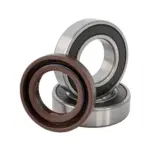 BEARING KIT and OIL RING (11/14/21 MOTOR SERVICE KIT